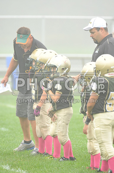 LLAYF_10-6-13_1054
