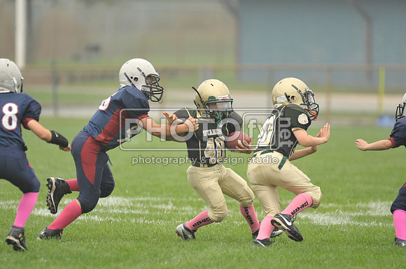 LLAYF_10-6-13_1510