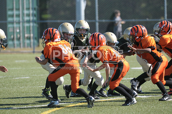 BMAYF_9-22-13_1442