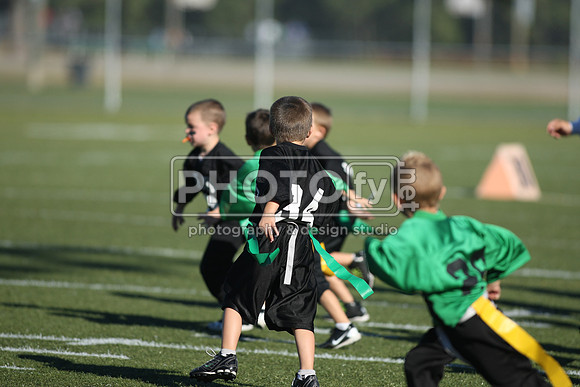 2L8Q0338
