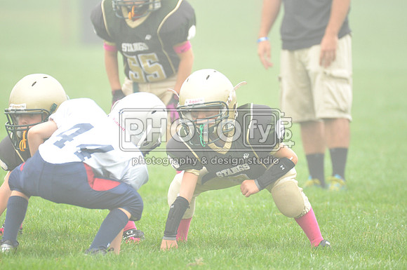 LLAYF_10-6-13_1022