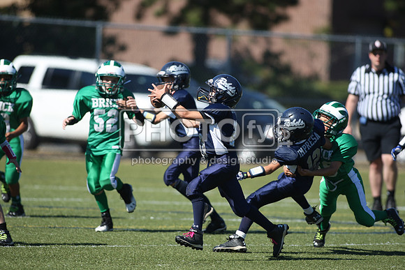 BDAYF_9-29-13__2001