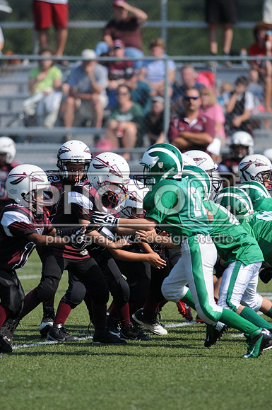 BDAYF_9-8-13__1406
