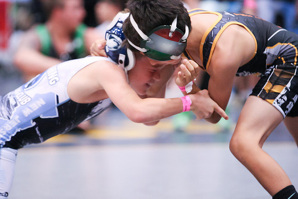 STWC_VB_5-2014_1129