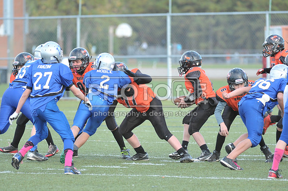 NJAYF_11-3-13_2454