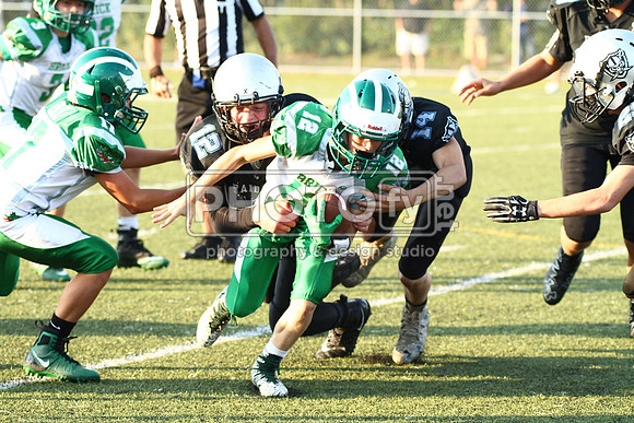 IMG_2261