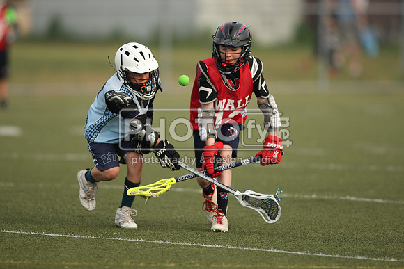 BYLT_05-17-15_01430