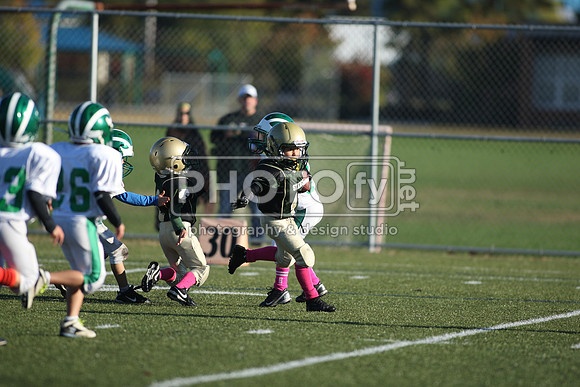 BDHS_10-20-13__1010