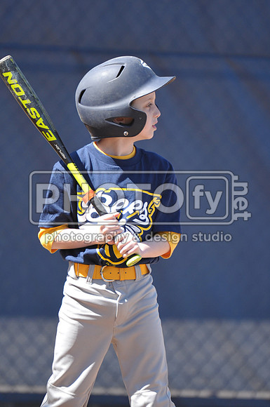 BTLL_4-11-15_2010