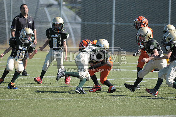 BMAYF_9-22-13_1415