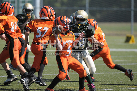 BMAYF_9-22-13_1531