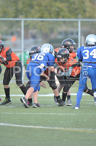NJAYF_11-3-13_2440