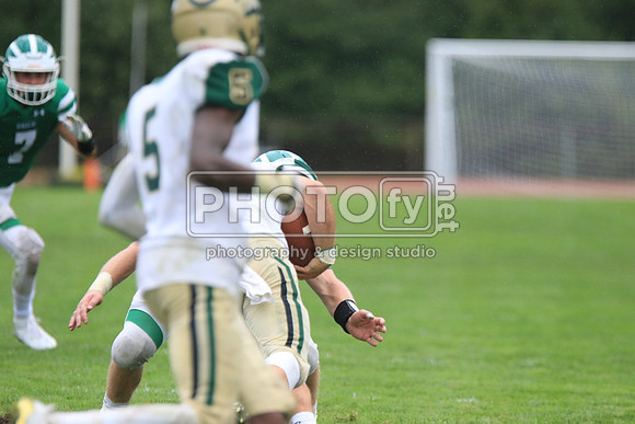 BDHS_9-8-18_1995