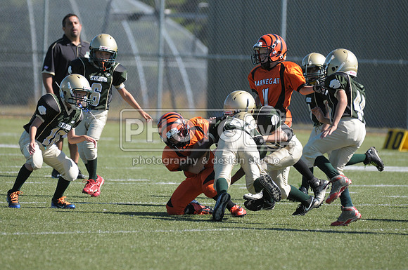 BMAYF_9-22-13_1417