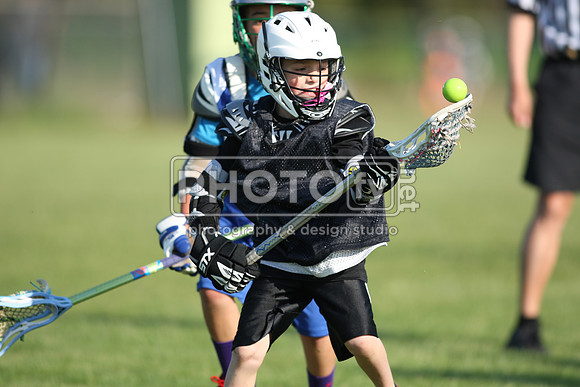 BLSWT_05-18-14_1134