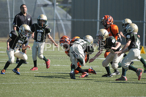 BMAYF_9-22-13_1416