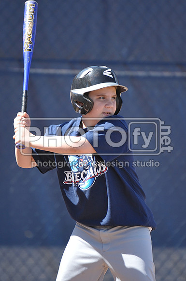 BTLL_4-11-15_2131