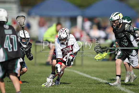 BLSWT_05-18-14_2010
