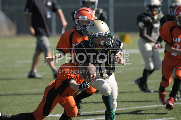 BMAYF_9-22-13_1448