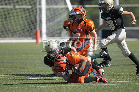 BMAYF_9-22-13_1339