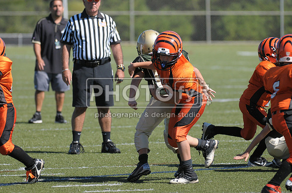 BMAYF_9-22-13_1512
