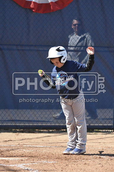 BTLL_4-11-15_2076