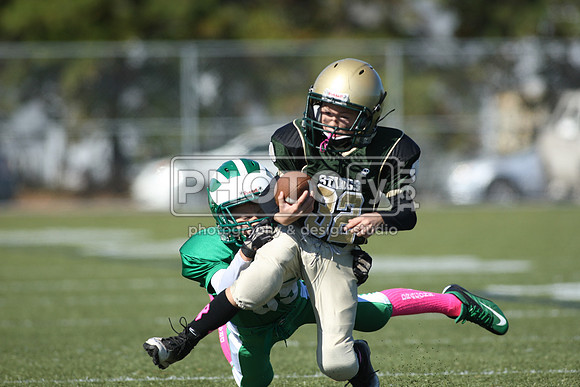 BDHS_10-20-13__1560
