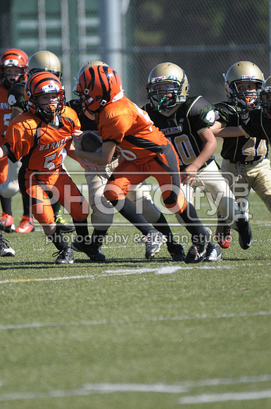 BMAYF_9-22-13_1519