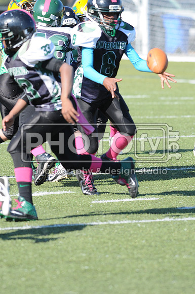 NJAYF_10-27-13__1851
