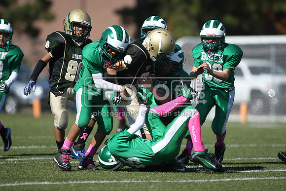 BDHS_10-20-13__2125