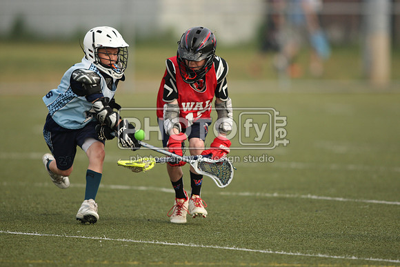 BYLT_05-17-15_01429
