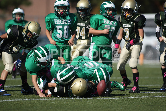 BDHS_10-20-13__2129