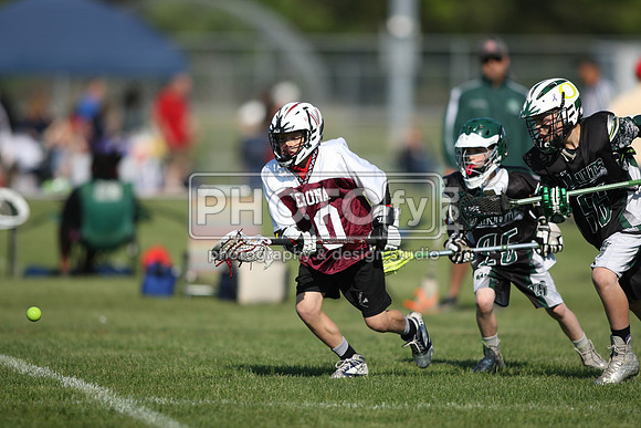 BLSWT_05-18-14_2008