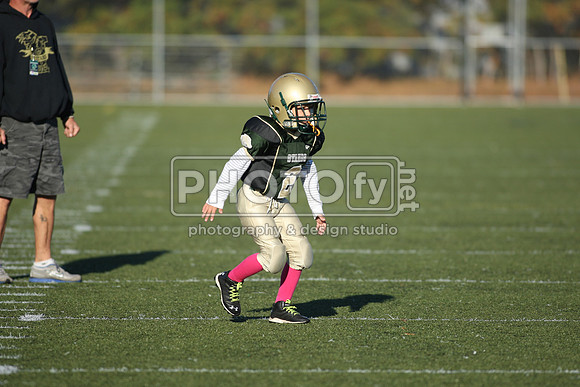 BDHS_10-20-13__1106