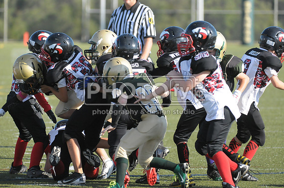 BMAYF_09-28-14_1278