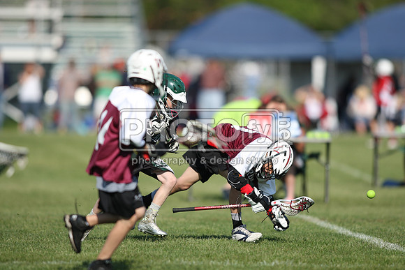 BLSWT_05-18-14_2004