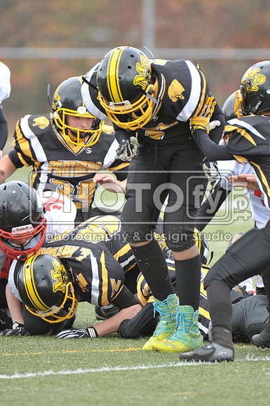 NJAYF_11-3-13_1593