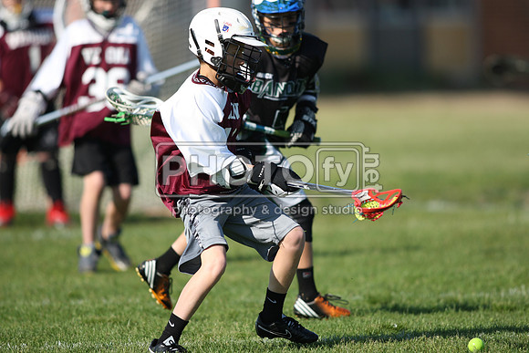 BLSWT_05-18-14_1837