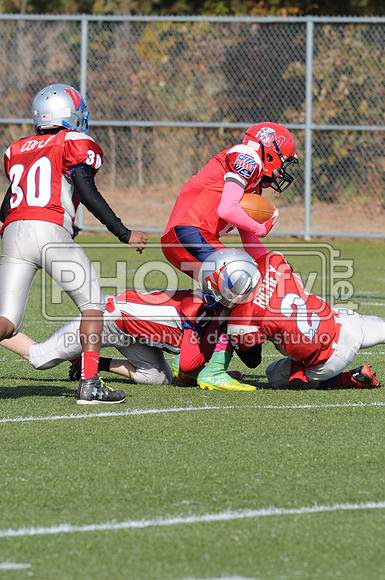 NJAYF_10-27-13__1488