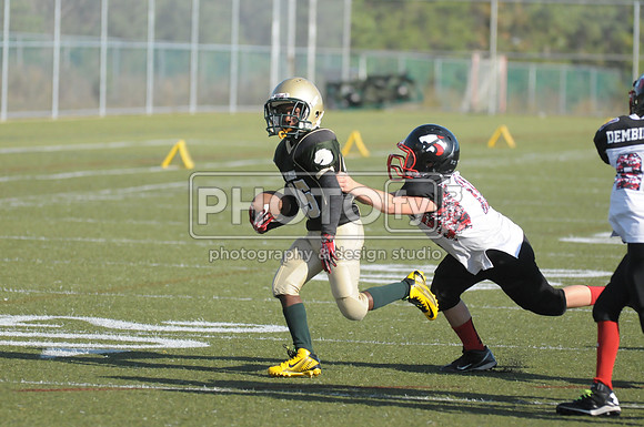 BMAYF_09-28-14_1232
