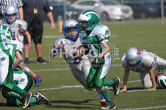 BDAYF_09-07-14_1697