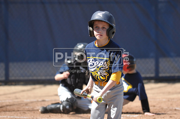 BTLL_4-11-15_2023