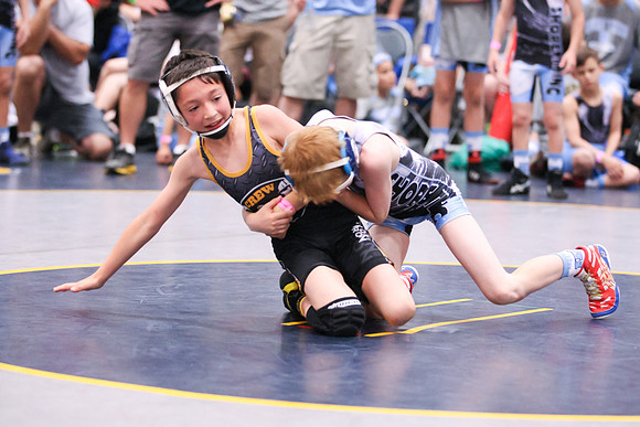 STWC_VB_5-2014_1114