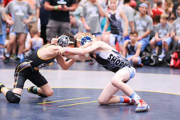 STWC_VB_5-2014_1078