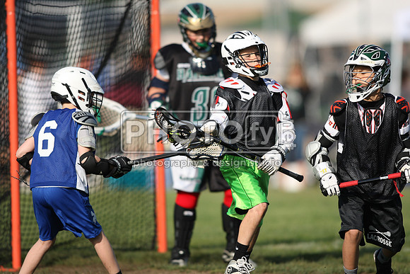 BLSWT_05-18-14_1001