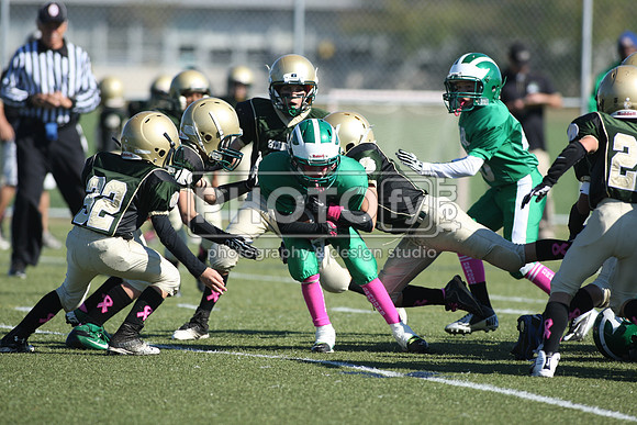 BDHS_10-20-13__1575