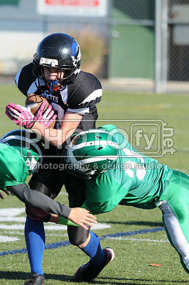 NJAYF_10-27-13__2334