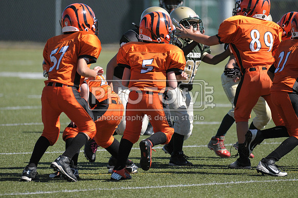BMAYF_9-22-13_1530