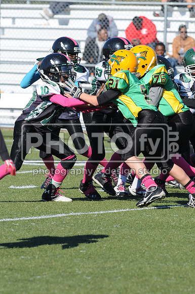 NJAYF_10-27-13__2033