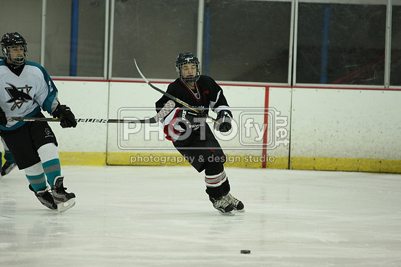 ICEPAL_2-20-12_1130